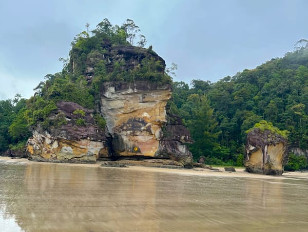 The best Bako National Park Visitor Guide you can find